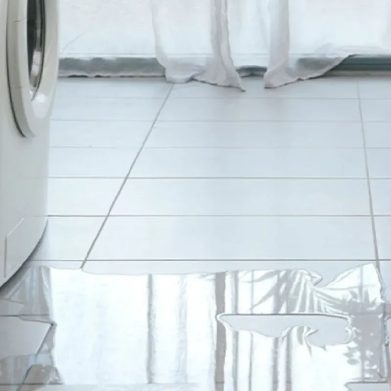 Appliance Leak Cleanup in Cody, WY