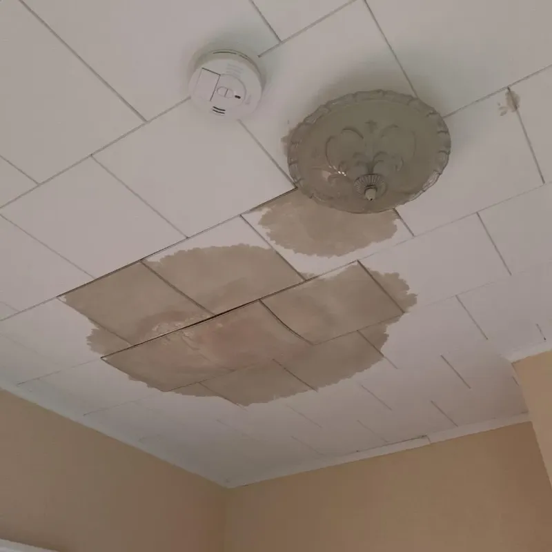 Ceiling Water Damage Repair in Cody, WY