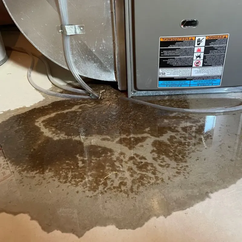 Pipe Burst and Leak Restoration in Cody, WY
